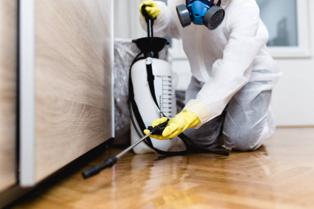 Best Rat Extermination Near Me  in Blue Ridge, AL