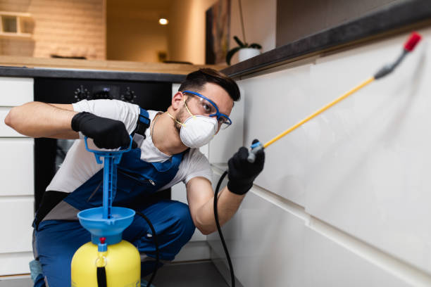 Best Pest Control Near Me  in Blue Ridge, AL