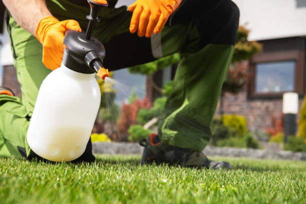 Best Pest Inspection Near Me  in Blue Ridge, AL