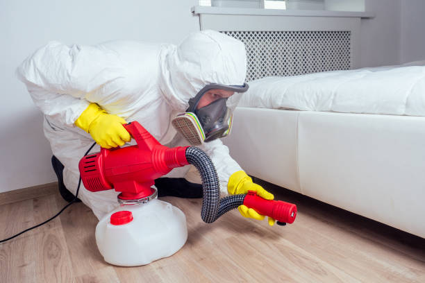 Best Pest Prevention Services  in Blue Ridge, AL