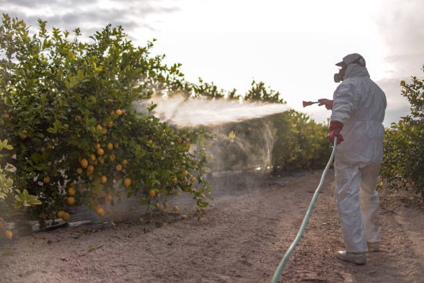 Best Pest Control Near Me  in Blue Ridge, AL