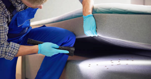 Best Local Pest Control Services  in Blue Ridge, AL