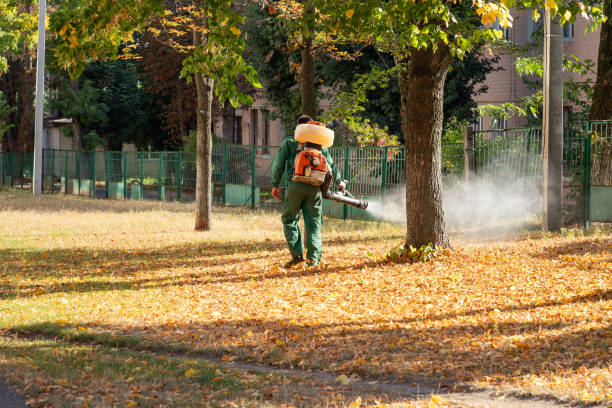 Pest Prevention Services in Blue Ridge, AL