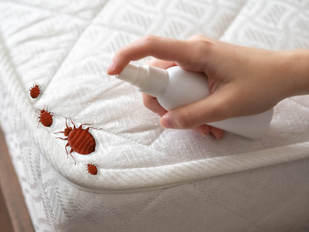 Best Best Pest Control Companies  in Blue Ridge, AL