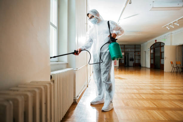 Best Termite Control Services  in Blue Ridge, AL