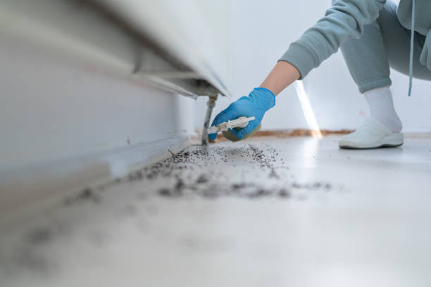 Best Pest Prevention Services  in Blue Ridge, AL