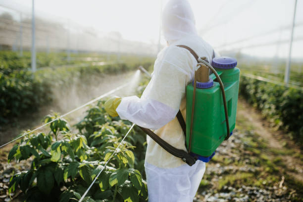Best Mosquito Control Services  in Blue Ridge, AL